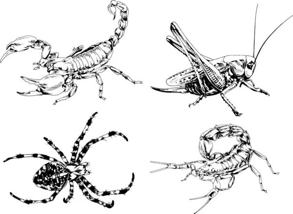 Vectortekeningen Schetst Verschillende Insecten Insecten Schorpioenen Spinnen Met Hand Getekend — Stockvector