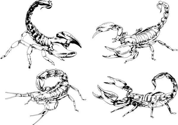 Desenhos Vetoriais Esboços Diferentes Insetos Insetos Escorpiões Aranhas Desenhadas Tinta —  Vetores de Stock