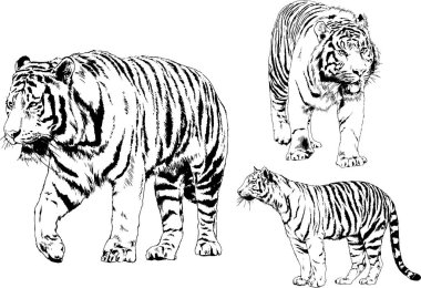 Yırtıcıların temasındaki vektör çizimleri mürekkep dövmeli logolarla elle çizilir.