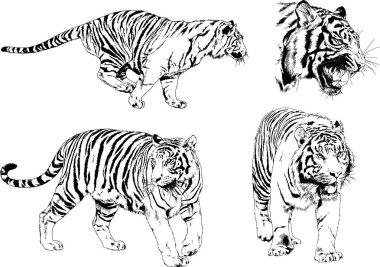 Yırtıcıların temasındaki vektör çizimleri mürekkep dövmeli logolarla elle çizilir.