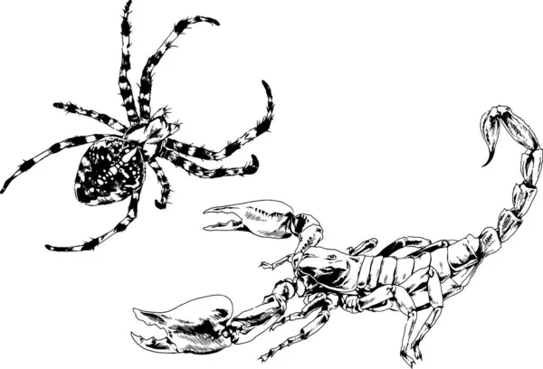 Disegni Vettoriali Schizzi Insetti Diversi Insetti Ragni Scorpioni Disegnati Mano — Vettoriale Stock