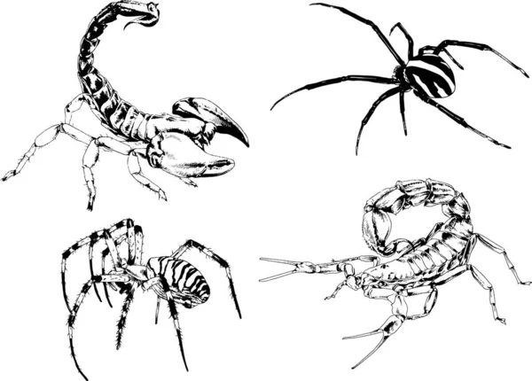 그림은 손으로 잉크로 물체들을 벌레들의 거미들을 그림이다 — 스톡 벡터