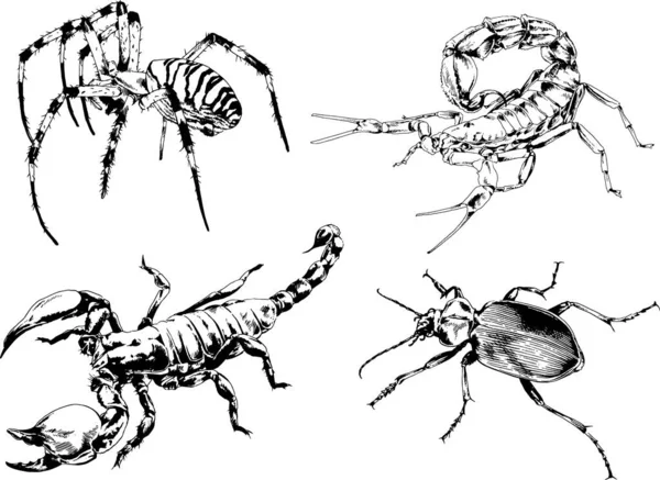 Dibujos Vectoriales Bocetos Insectos Diferentes Insectos Scorpions Arañas Dibujadas Con — Vector de stock