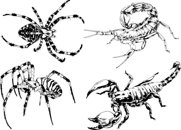그림은 손으로 잉크로 물체들을 벌레들의 거미들을 그림이다 — 스톡 벡터