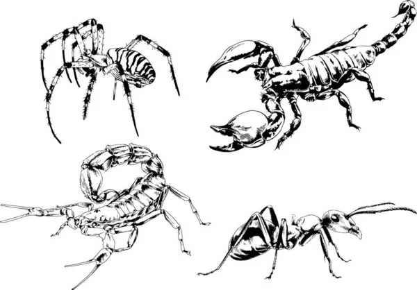 그림은 손으로 잉크로 물체들을 벌레들의 거미들을 그림이다 — 스톡 벡터