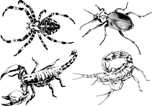 Vectortekeningen Schetst Verschillende Insecten Insecten Schorpioenen Spinnen Met Hand Getekend — Stockvector