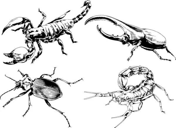 Vectortekeningen Schetst Verschillende Insecten Insecten Schorpioenen Spinnen Met Hand Getekend — Stockvector