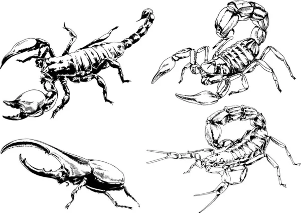 Dibujos Vectoriales Bocetos Insectos Diferentes Insectos Scorpions Arañas Dibujadas Con — Vector de stock