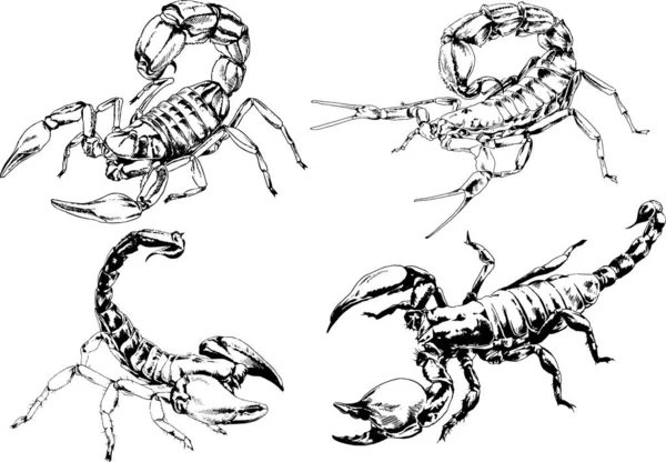 Desenhos Vetoriais Esboços Diferentes Insetos Insetos Escorpiões Aranhas Desenhadas Tinta —  Vetores de Stock