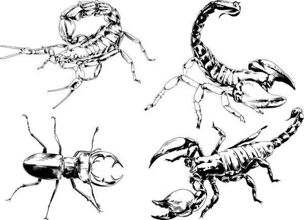 ベクトル図は異なる昆虫のバグをスケッチ手でインクで描かれたスコーピオンクモ 背景のないオブジェクト — ストックベクタ