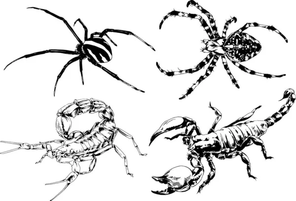 Vektori Piirustukset Luonnoksia Eri Hyönteisten Vikoja Scorpions Hämähäkit Piirretään Musteella — vektorikuva