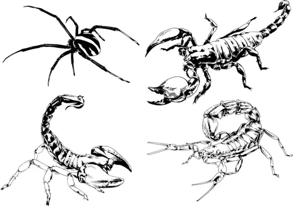 Desenhos Vetoriais Esboços Diferentes Insetos Insetos Escorpiões Aranhas Desenhadas Tinta — Vetor de Stock