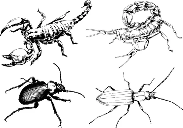 Dessins Vectoriels Esquisse Différents Insectes Insectes Scorpions Araignées Dessinées Encre — Image vectorielle