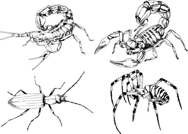 Vectortekeningen Schetst Verschillende Insecten Insecten Schorpioenen Spinnen Met Hand Getekend — Stockvector