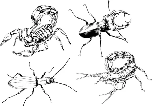 Dibujos Vectoriales Bocetos Insectos Diferentes Insectos Scorpions Arañas Dibujadas Con — Vector de stock