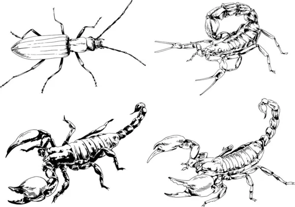 Vector Drawings Sketches Different Insects Bugs Scorpions Spiders Drawn Ink — Stock Vector