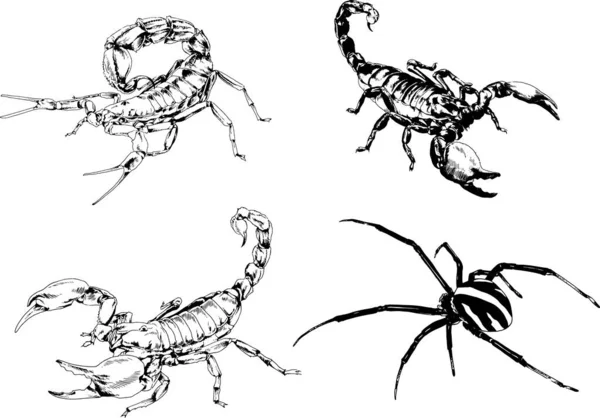 Desenhos Vetoriais Esboços Diferentes Insetos Insetos Escorpiões Aranhas Desenhadas Tinta —  Vetores de Stock