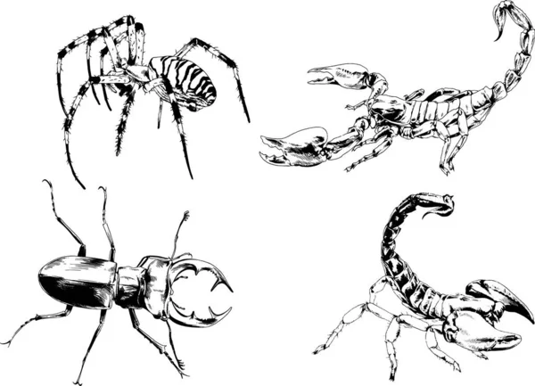 Vectortekeningen Schetst Verschillende Insecten Insecten Schorpioenen Spinnen Met Hand Getekend — Stockvector