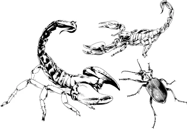 Векторные Рисунки Эскизы Различных Насекомых Жуки Scorpions Пауки Нарисованы Чернилами — стоковый вектор