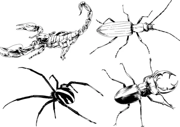 Desenhos Vetoriais Esboços Diferentes Insetos Insetos Escorpiões Aranhas Desenhadas Tinta — Vetor de Stock