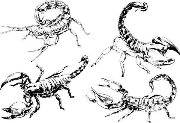 Dibujos Vectoriales Bocetos Insectos Diferentes Insectos Scorpions Arañas Dibujadas Con — Archivo Imágenes Vectoriales