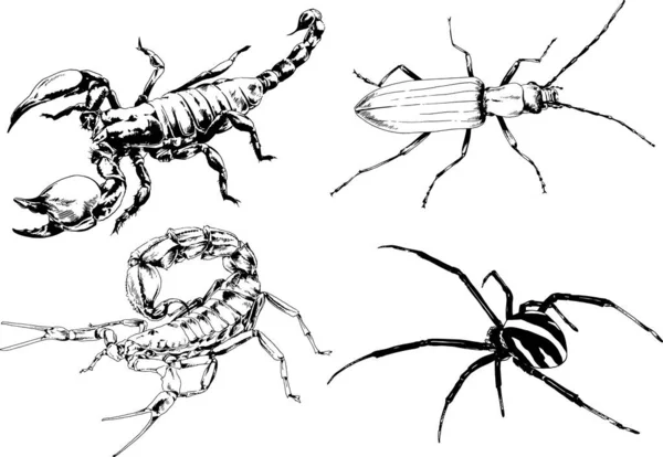 Vektor Rajzok Vázlatok Különböző Rovarok Hibák Skorpiók Pókok Rajzolt Tinta — Stock Vector