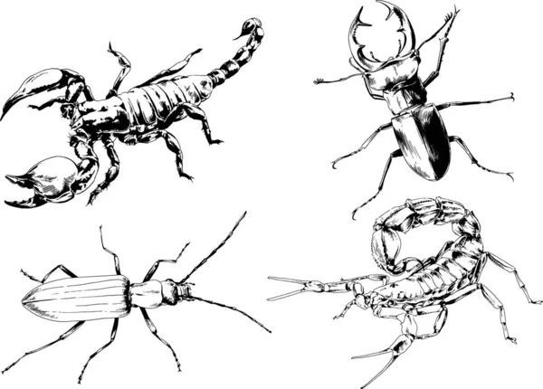 Vectortekeningen Schetst Verschillende Insecten Insecten Schorpioenen Spinnen Met Hand Getekend — Stockvector