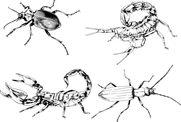 Desenhos Vetoriais Esboços Diferentes Insetos Insetos Escorpiões Aranhas Desenhadas Tinta —  Vetores de Stock