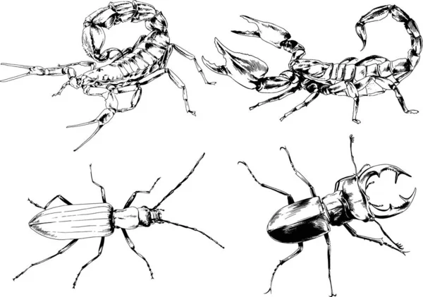 Desenhos Vetoriais Esboços Diferentes Insetos Insetos Escorpiões Aranhas Desenhadas Tinta —  Vetores de Stock