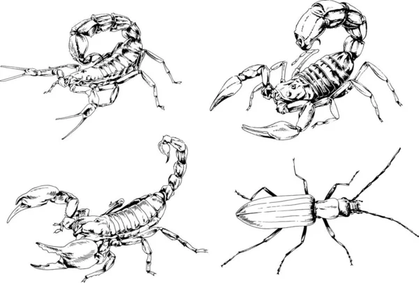 Vector Drawings Sketches Different Insects Bugs Scorpions Spiders Drawn Ink — Stock Vector