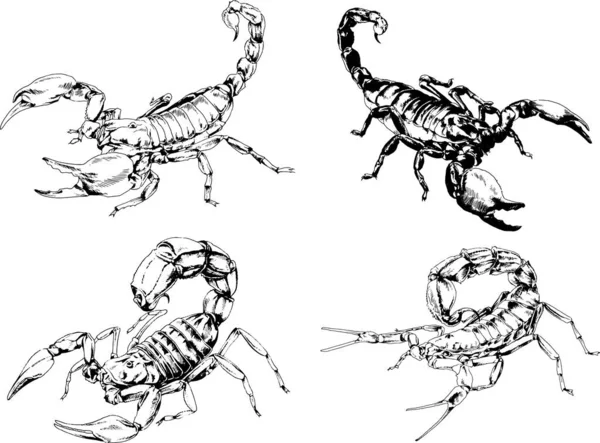 ベクトル図は異なる昆虫のバグをスケッチ手でインクで描かれたスコーピオンクモ 背景のないオブジェクト — ストックベクタ