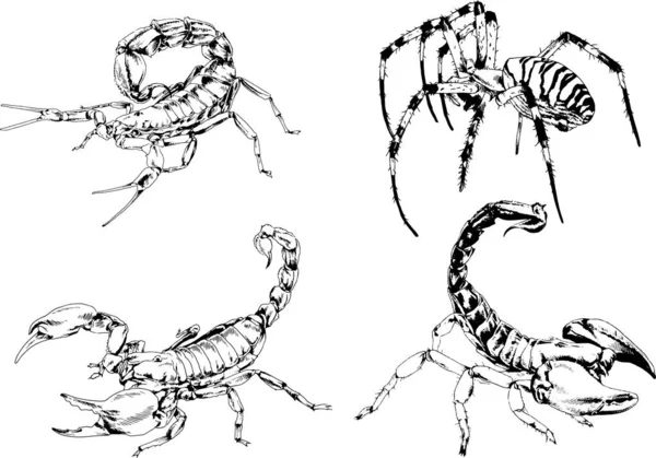 Векторні Малюнки Ескізи Різних Комах Жуків Скорпіони Павуки Намальовані Чорнилом — стоковий вектор