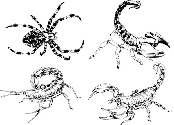 Desenhos Vetoriais Esboços Diferentes Insetos Insetos Escorpiões Aranhas Desenhadas Tinta —  Vetores de Stock