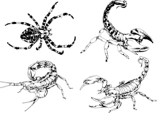 ベクトル図は異なる昆虫のバグをスケッチ手でインクで描かれたスコーピオンクモ 背景のないオブジェクト — ストックベクタ