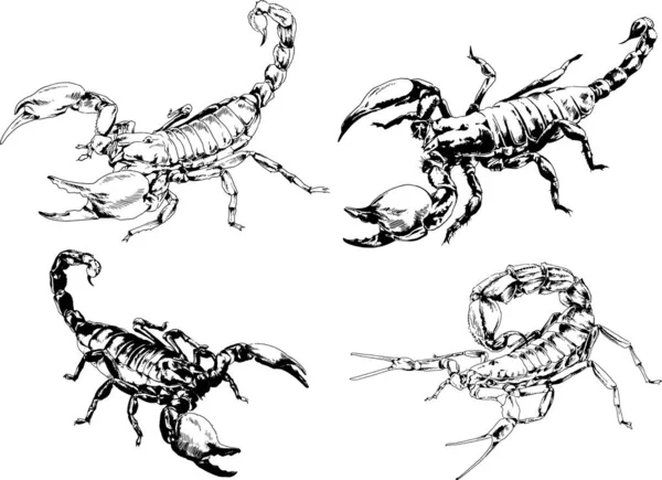 Vector Drawings Sketches Different Insects Bugs Scorpions Spiders Drawn Ink — Stock Vector