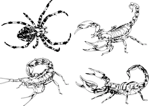 Vector Drawings Sketches Different Insects Bugs Scorpions Spiders Drawn Ink — Stock Vector