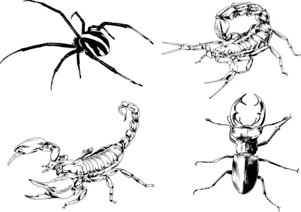 Dessins Vectoriels Esquisse Différents Insectes Insectes Scorpions Araignées Dessinées Encre — Image vectorielle