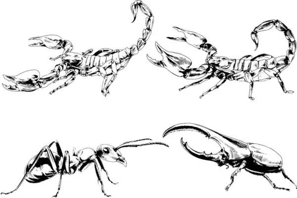 Vektor Ritningar Skisser Olika Insekter Buggar Skorpioner Spindlar Dras Med — Stock vektor