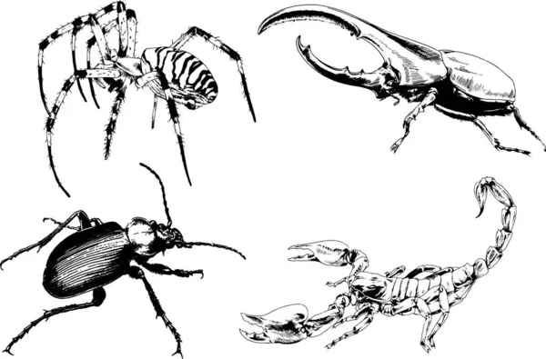 Desenhos Vetoriais Esboços Diferentes Insetos Insetos Escorpiões Aranhas Desenhadas Tinta —  Vetores de Stock