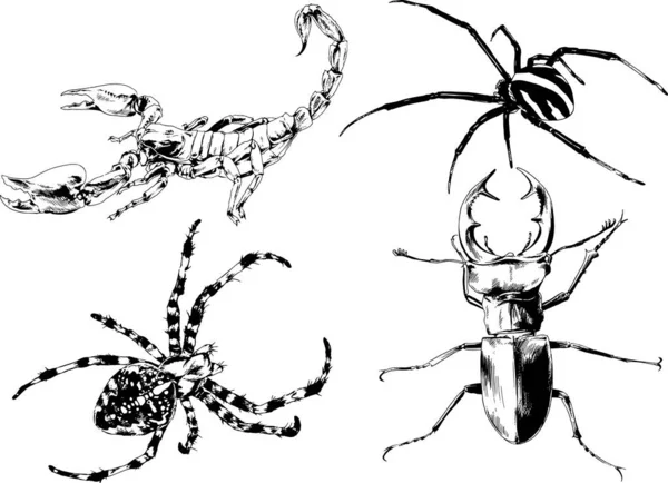 Desenhos Vetoriais Esboços Diferentes Insetos Insetos Escorpiões Aranhas Desenhadas Tinta —  Vetores de Stock