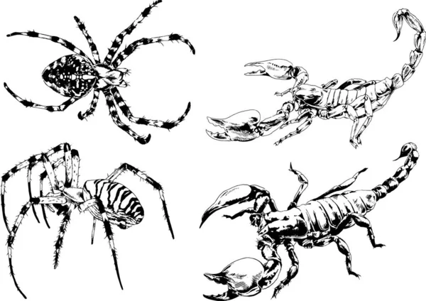 Desenhos Vetoriais Esboços Diferentes Insetos Insetos Escorpiões Aranhas Desenhadas Tinta — Vetor de Stock