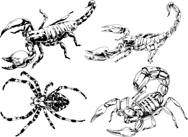 Desenhos Vetoriais Esboços Diferentes Insetos Insetos Escorpiões Aranhas Desenhadas Tinta —  Vetores de Stock