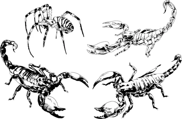 ベクトル図は異なる昆虫のバグをスケッチ手でインクで描かれたスコーピオンクモ 背景のないオブジェクト — ストックベクタ