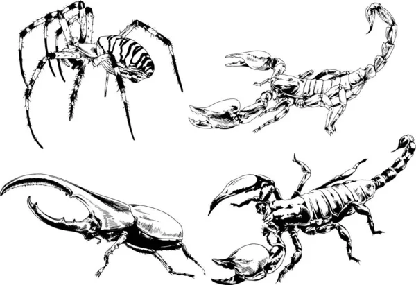 Vector Drawings Sketches Different Insects Bugs Scorpions Spiders Drawn Ink — Stock Vector