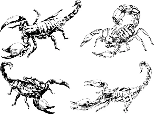 Vector Drawings Sketches Different Insects Bugs Scorpions Spiders Drawn Ink — Stock Vector