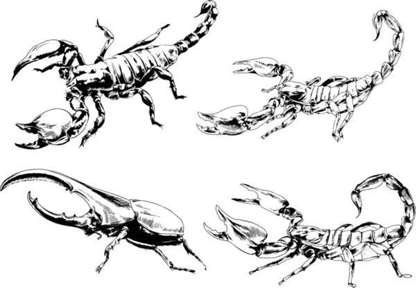 Desenhos Vetoriais Esboços Diferentes Insetos Insetos Escorpiões Aranhas Desenhadas Tinta —  Vetores de Stock