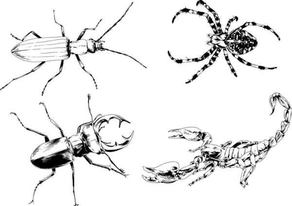 ベクトル図は異なる昆虫のバグをスケッチ手でインクで描かれたスコーピオンクモ 背景のないオブジェクト — ストックベクタ