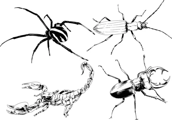 ベクトル図は異なる昆虫のバグをスケッチ手でインクで描かれたスコーピオンクモ 背景のないオブジェクト — ストックベクタ