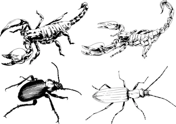 Desenhos Vetoriais Esboços Diferentes Insetos Insetos Escorpiões Aranhas Desenhadas Tinta —  Vetores de Stock