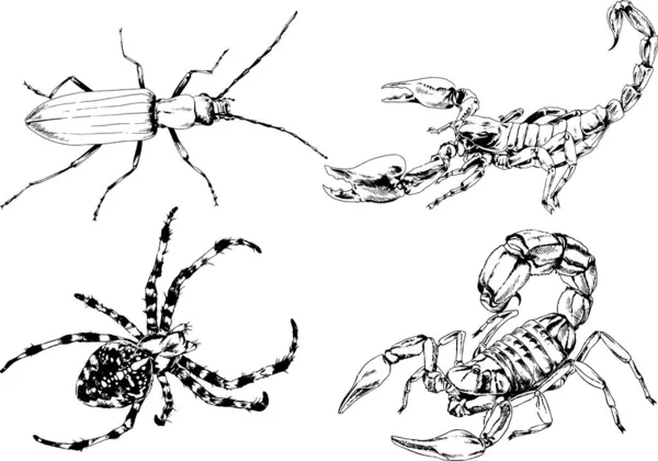 Desenhos Vetoriais Esboços Diferentes Insetos Insetos Escorpiões Aranhas Desenhadas Tinta —  Vetores de Stock